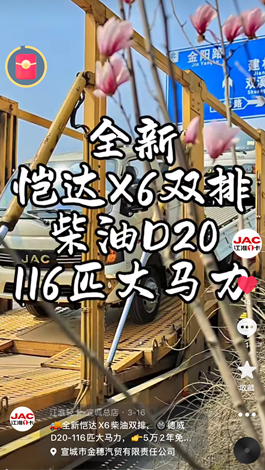 全新愷達X6柴油雙排，德威D20-116匹大馬力。